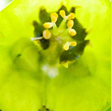 ddos在线攻击测试网站